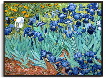 Inspiration Van Gogh - Les iris